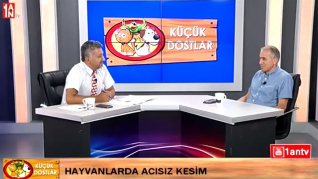 Çiftlik Hayvanlarında Acısız Kesim  Nasıl Oluyor ? - Prof Dr Tamer Dodurga (2017)