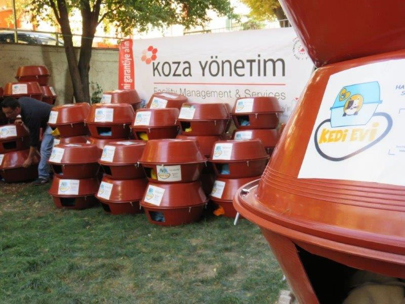 2016 Haytap Takvimleri Ankara’da Kedilere Yuva Oldu