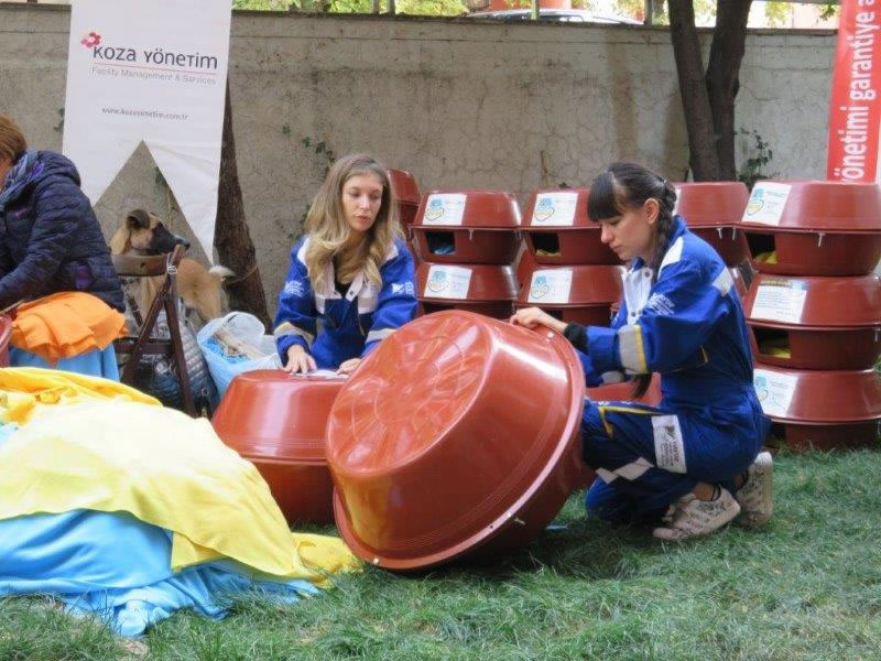 2016 Haytap Takvimleri Ankara’da Kedilere Yuva Oldu