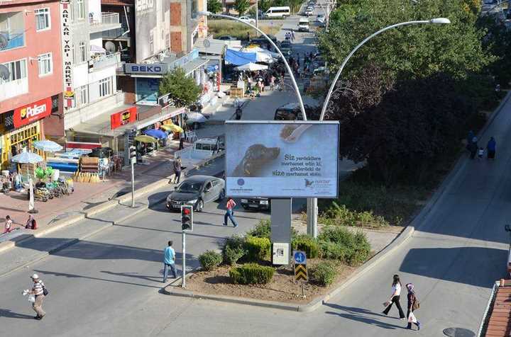 Ankara Kazan Belediyesi Tüm Belediyelere Örnek Olsun! - Kazan’da Her Yer Haytap Afişleri İle Donatıldı.