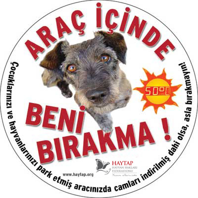 Hayvanlarınızı Araç İçinde Asla Bırakmayın !