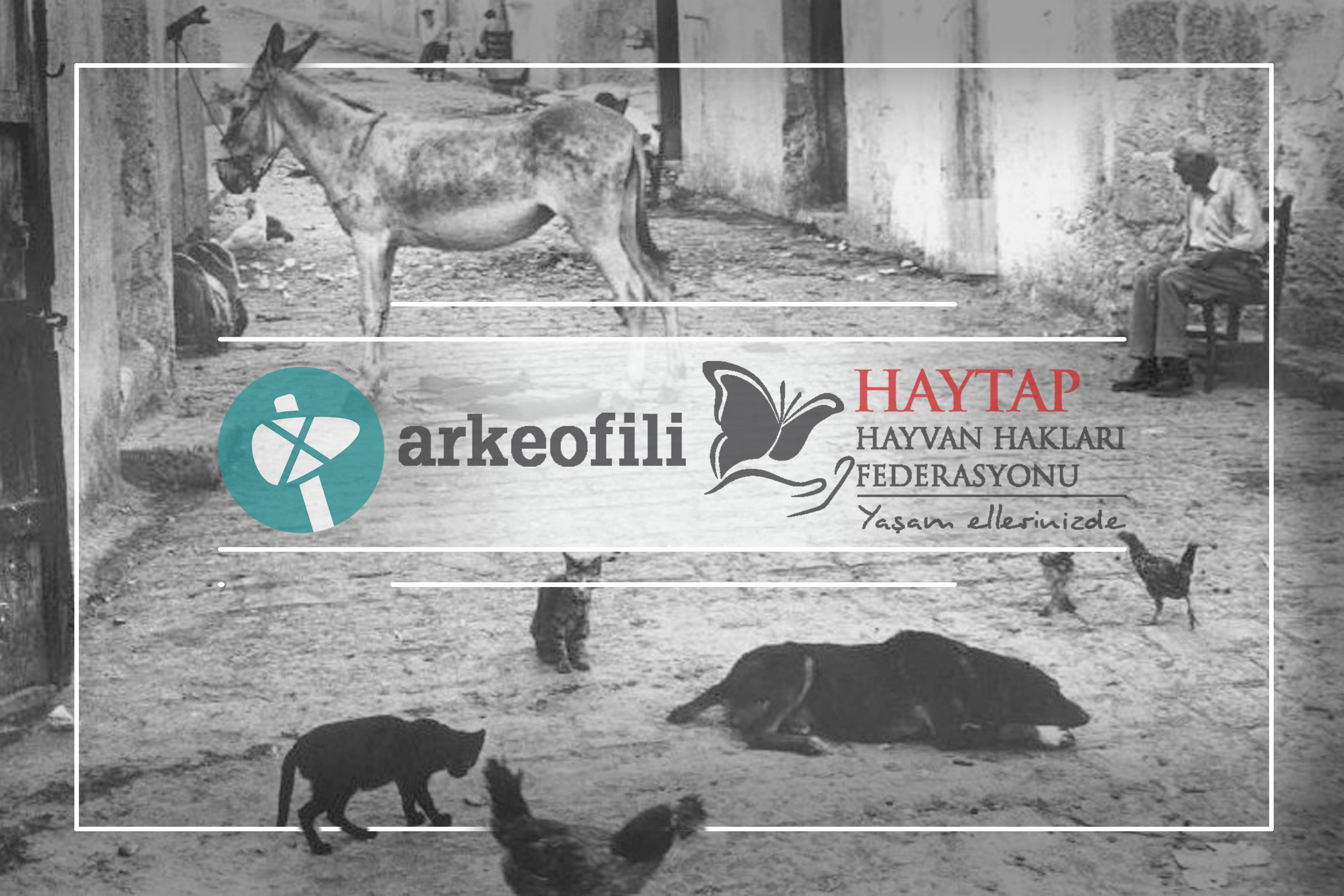 Arkeofili Haytap Ortak Çalışması