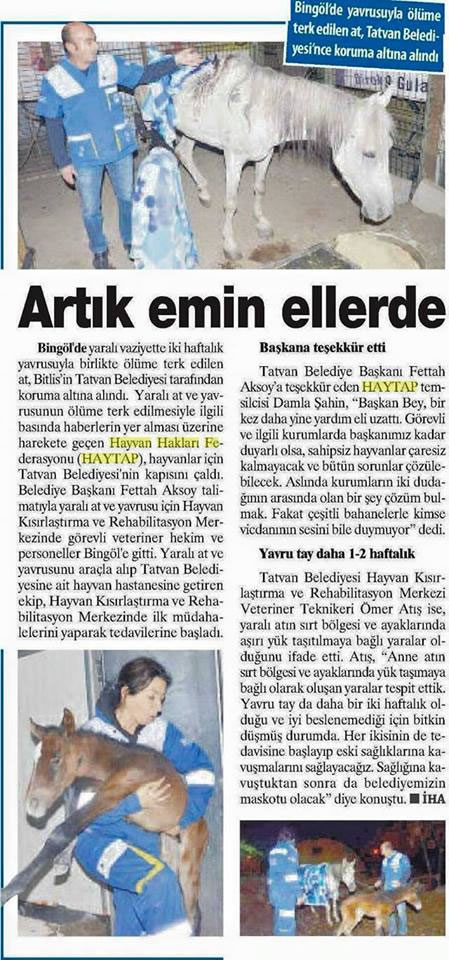 Artık Emin Ellerde