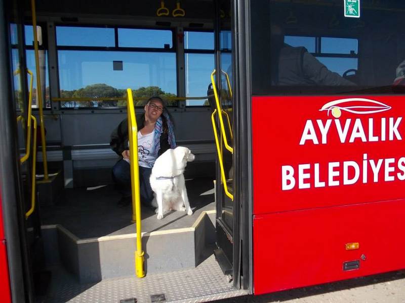 HAYTAP 6. Ulusal Temsilciler Toplantısı Ayvalık’ta