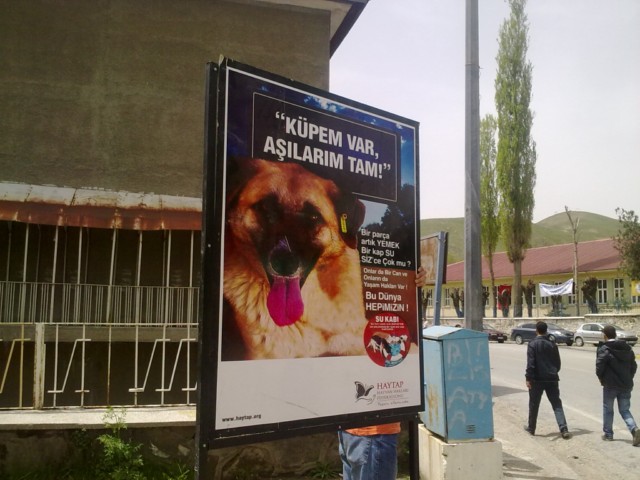  Haytap 3. Temsilciler Toplantımız - BİTLİS’te Gururun Göz Yaşları 