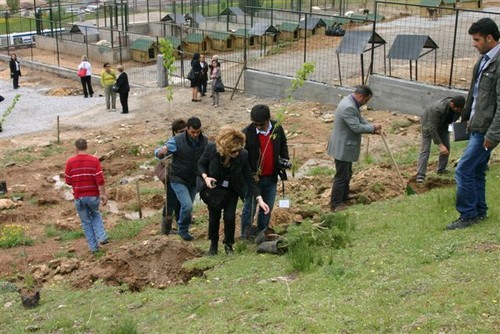  Haytap 3. Temsilciler Toplantımız - BİTLİS’te Gururun Göz Yaşları 