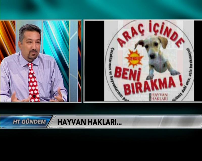 Baştan Sona Hayvan Hakları  Bloomberg  -2011