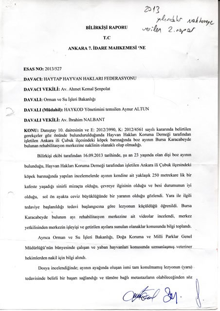 Meyvan İçin Mahkemeye Sunulan Bilirkişi Raporları