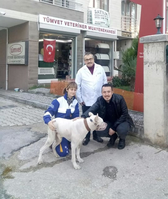 Bursa’da arka ayakları tutmaz halde bulundu...