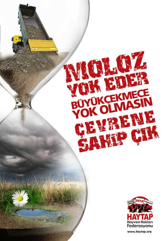 HAYTAP  2008 ’de Haytap Neler Yaptı ?