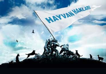 İBB ’ye Karşı Hayvan Hakları Zaferi !