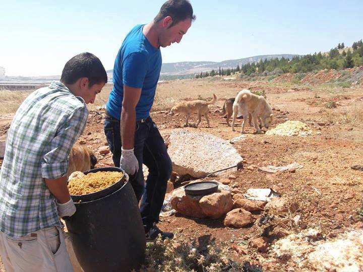 Haytap 2013 Yılında Neler Yaptı?