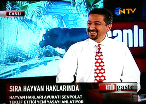 Haytap NTV ’de 