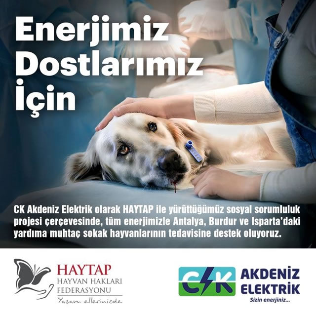 Haytap & Ck Akdeniz Elektrik İşbirliği Sayesinde Kurtarılan Can-1