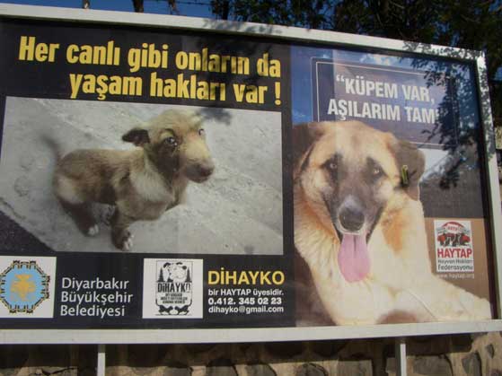 Haytap Billboardları Diyarbakır Caddelerinde !