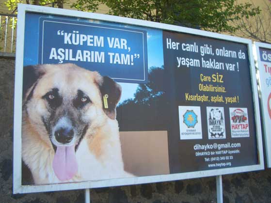 Haytap Billboardları Diyarbakır Caddelerinde !