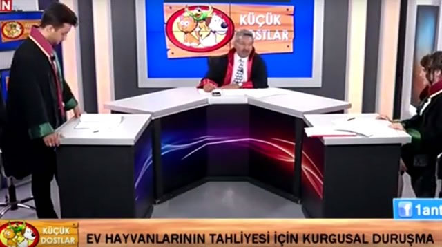 Kurgusal Duruşma : Ev Hayvanlarının Tahliyesi Nasıl Oluyor ?