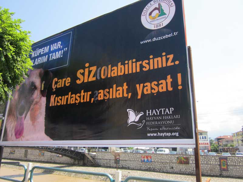 Düzce Caddelerinde ’Bir Kap Su’ Bilboard Panolarda