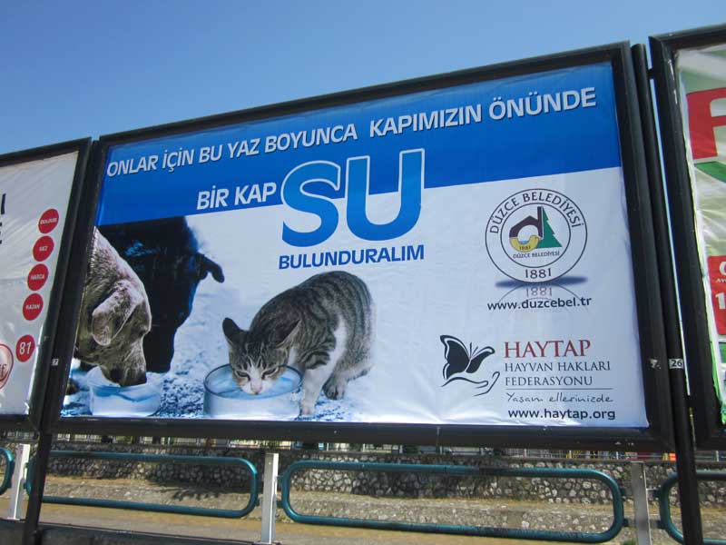 Düzce Caddelerinde ’Bir Kap Su’ Bilboard Panolarda