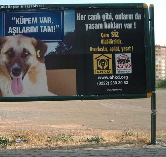 HAYTAP Billboardları Eskişehir Caddelerinde !