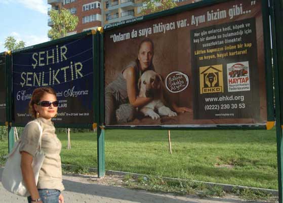 HAYTAP Billboardları Eskişehir Caddelerinde !