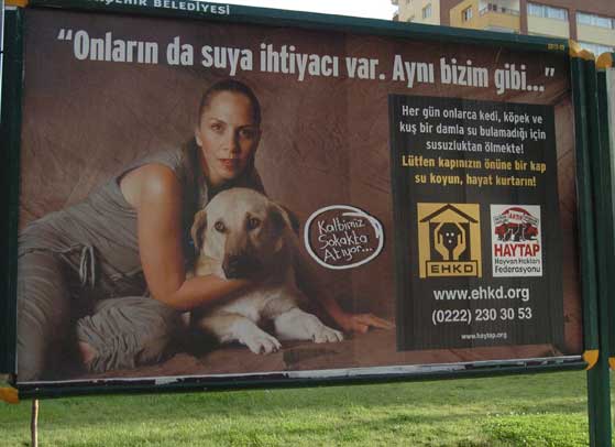 HAYTAP Billboardları Eskişehir Caddelerinde !