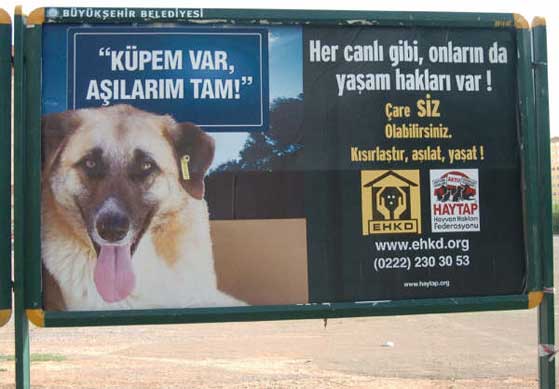 HAYTAP Billboardları Eskişehir Caddelerinde !