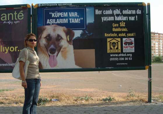 HAYTAP Billboardları Eskişehir Caddelerinde !