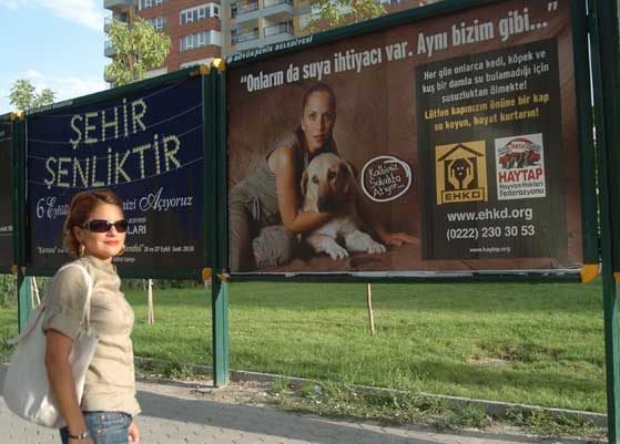 HAYTAP Billboardları Eskişehir Caddelerinde !