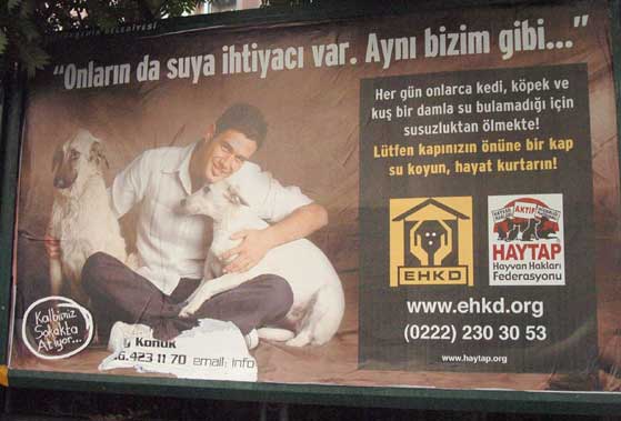 HAYTAP Billboardları Eskişehir Caddelerinde !