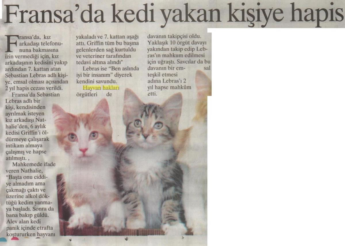 Fransada Kedi Yakan Kişiye Hapis