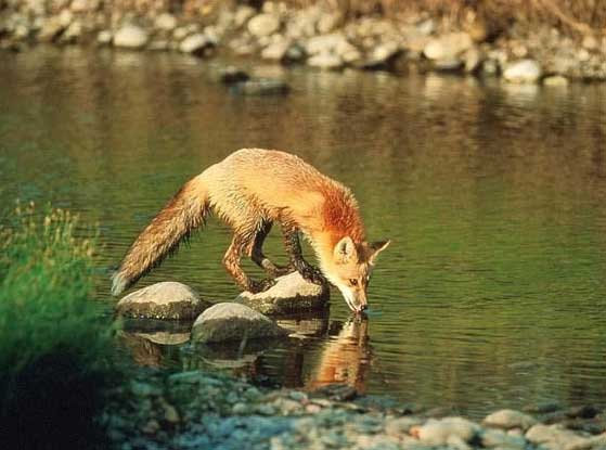 BEKİR COŞKUN’dan Hepimize Yol Gösteren Önemli Bir Yazı