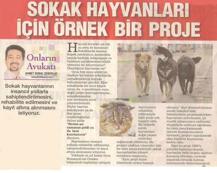 (*) Sokak Hayvanları için Örnek Bir Proje