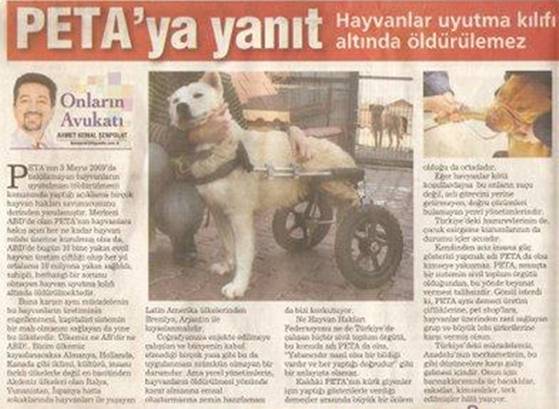 Peta’ya Yanıt !