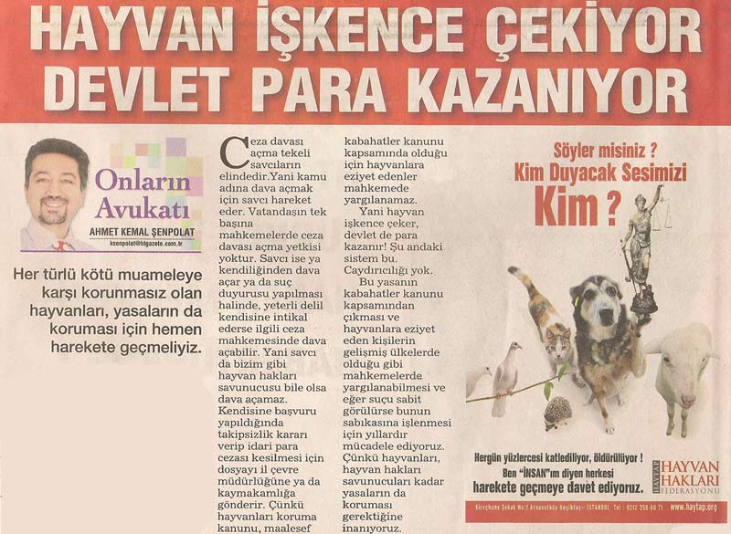 Mahkemeler Neden Hayvan Hakları İhlallerinde Harekete Geçmez ?-2009