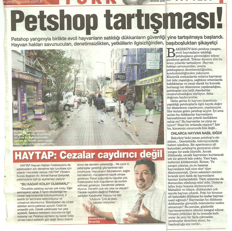 Petshop Tartışması Büyüyor ! - Habertürk