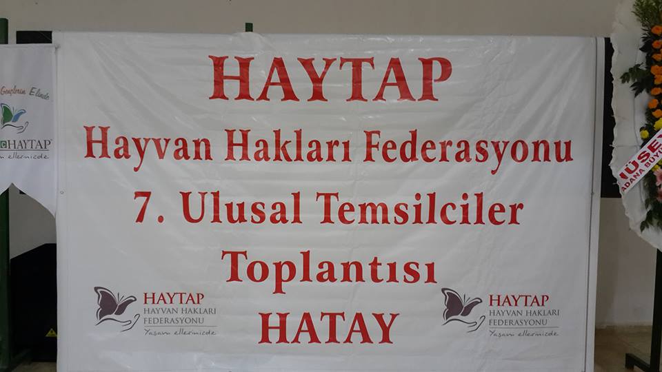 HAYTAP 7. Ulusal Temsilciler Toplantısı Hatay’da- 2014