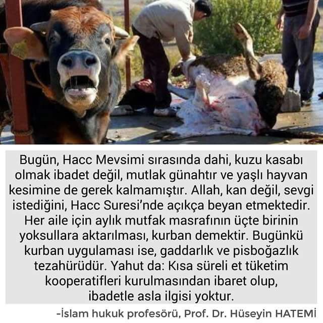 Hatemi - Kurban Uygulaması