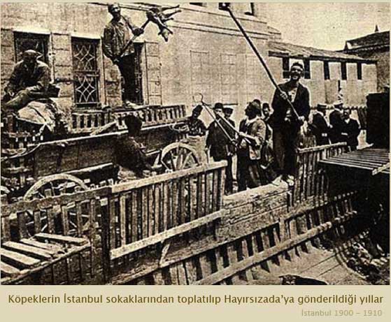 Osmanlıda Hayvan Hakları / Osmanlıda Pako Savaşları - Şinasi, Pertev Paşa’ya Karşı