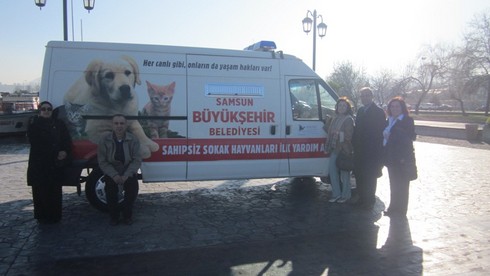 HAYTAP’ın İşbirliğiyle Samsun’da Mucize Gerçekleşiyor: Hayvan  Ambulansı