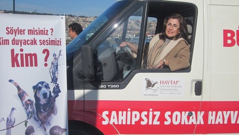 HAYTAP’ın İşbirliğiyle Samsun’da Mucize Gerçekleşiyor: Hayvan  Ambulansı