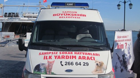 HAYTAP’ın İşbirliğiyle Samsun’da Mucize Gerçekleşiyor: Hayvan  Ambulansı