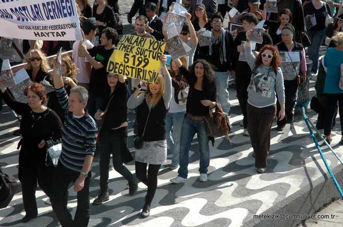 Haytap 2010’da Neler Yaptı?