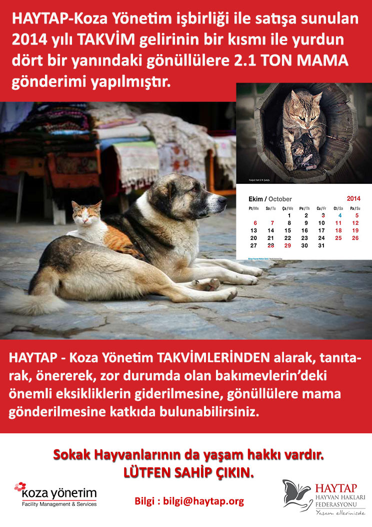 Haytap 2014 Takvim Gelirleri ile Yurdun Dört Bir Yanına Mama Gönderildi