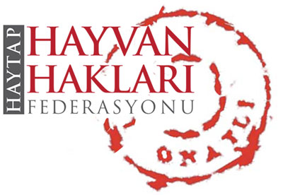 Hayvan Haklarında Uzun Süreli Çalışacakların İzleyeceği Yol