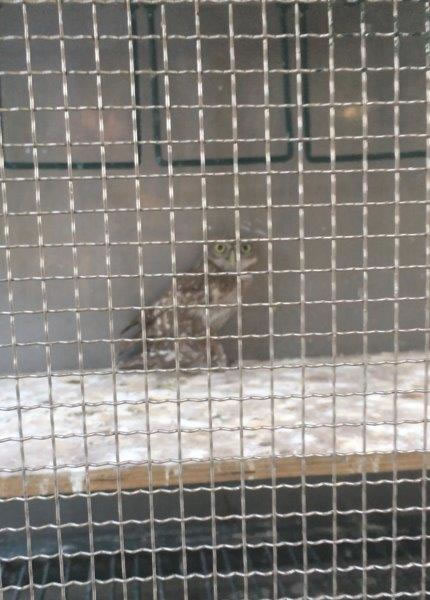 Zonguldak  Özel Hayvanat Bahçesinin Kapatılması İstemimiz