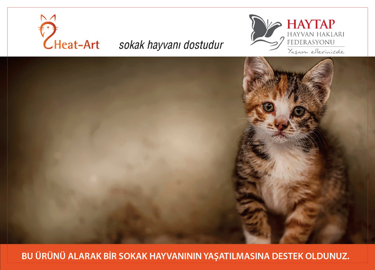 HEATin & Haytap İşbirliği