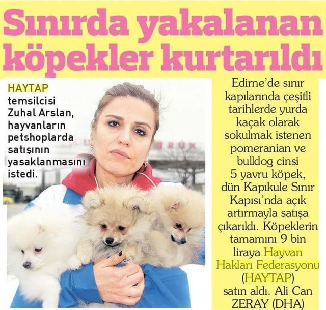 Haytap Köpekleri Petshopçulardan Kurtarmak İçin Yine İhaledeydi