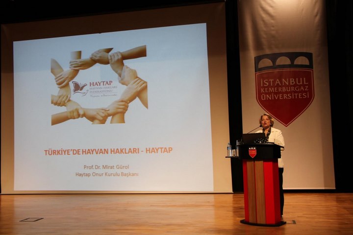 Haytap 2013 Yılında Neler Yaptı?