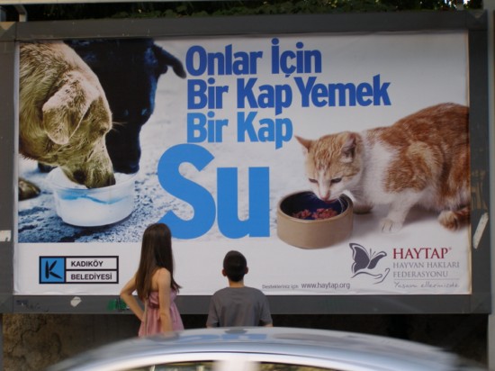 (*) HAYTAP 2011 Yılında Ne Yaptı ? Sadece Bir Kısmı ...